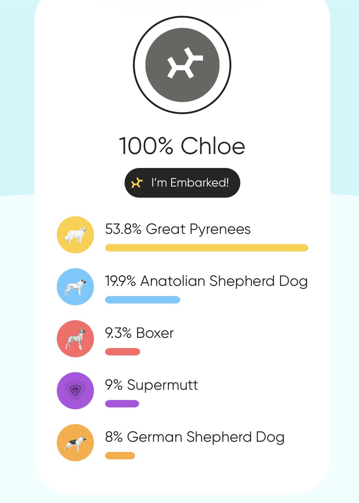 Enlarge Chloe, a Adoptable mixed breed in Plainfield, IL image 2/6