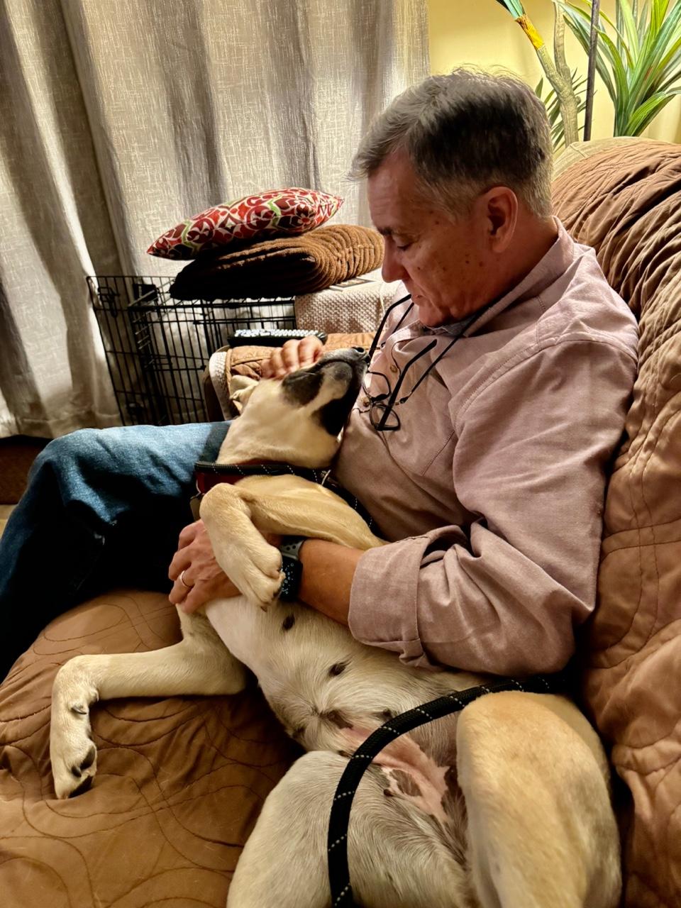 GIA, an adoptable Shepherd in Thousand Oaks, CA image 6/6