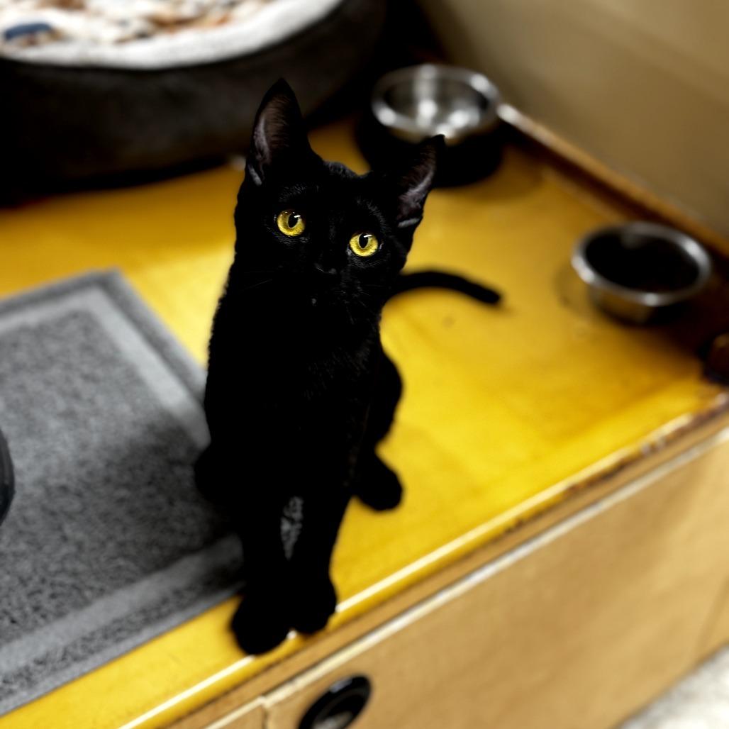 Emma — thumbnail 3