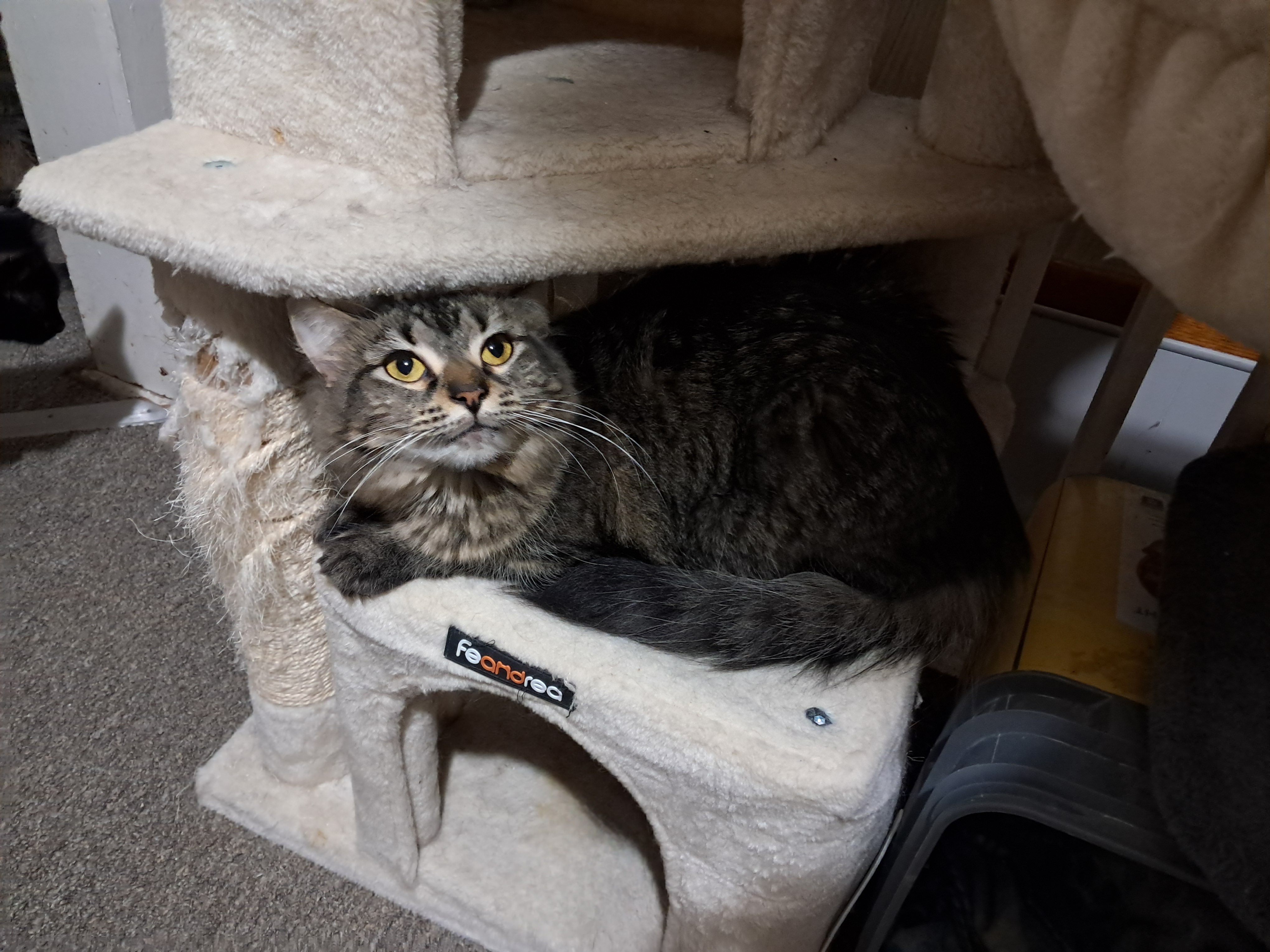 Surprise thumbnail 2