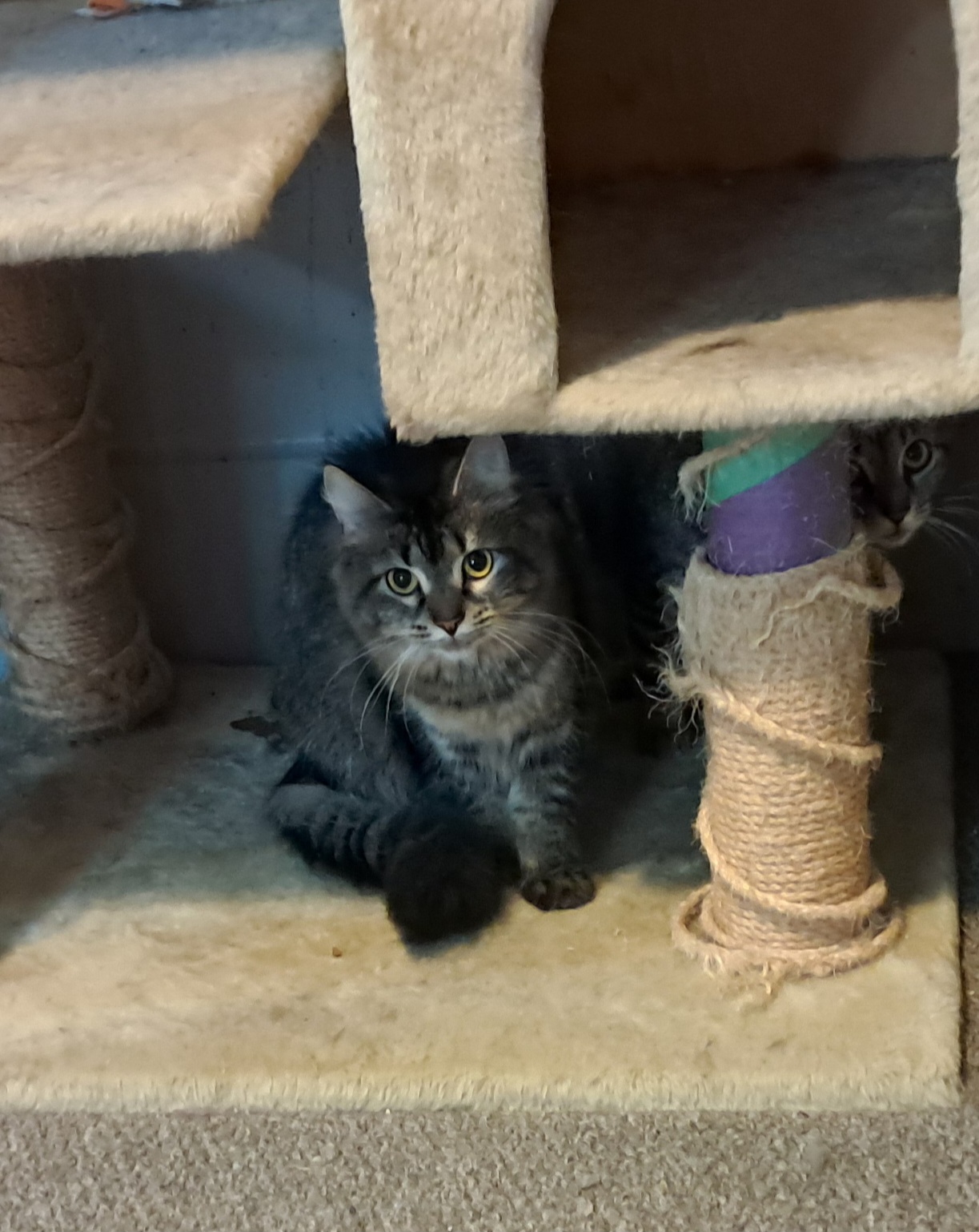 Surprise thumbnail 3