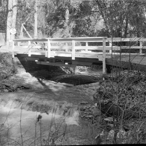 Enlarge Reeses, an adopted Shih Tzu in Bettles, AK image 5/6