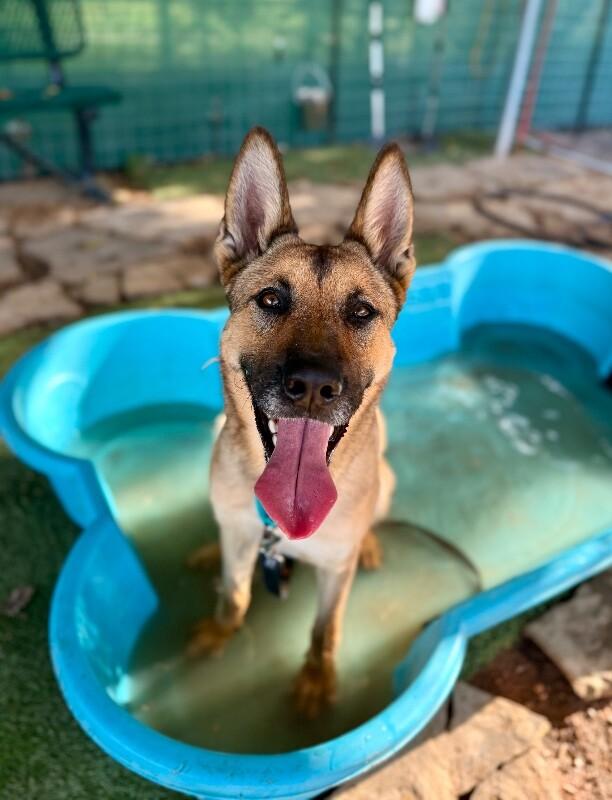 Ari Honey the Loving Adventurer — thumbnail 4