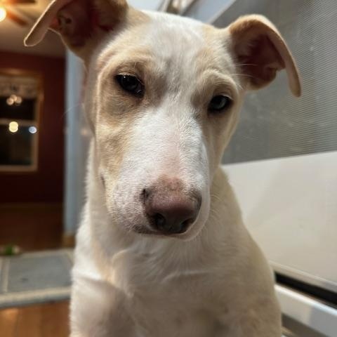 Harrison thumbnail 3