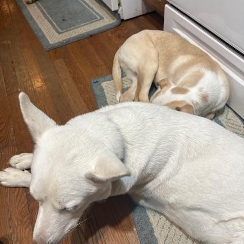 Harrison thumbnail 4