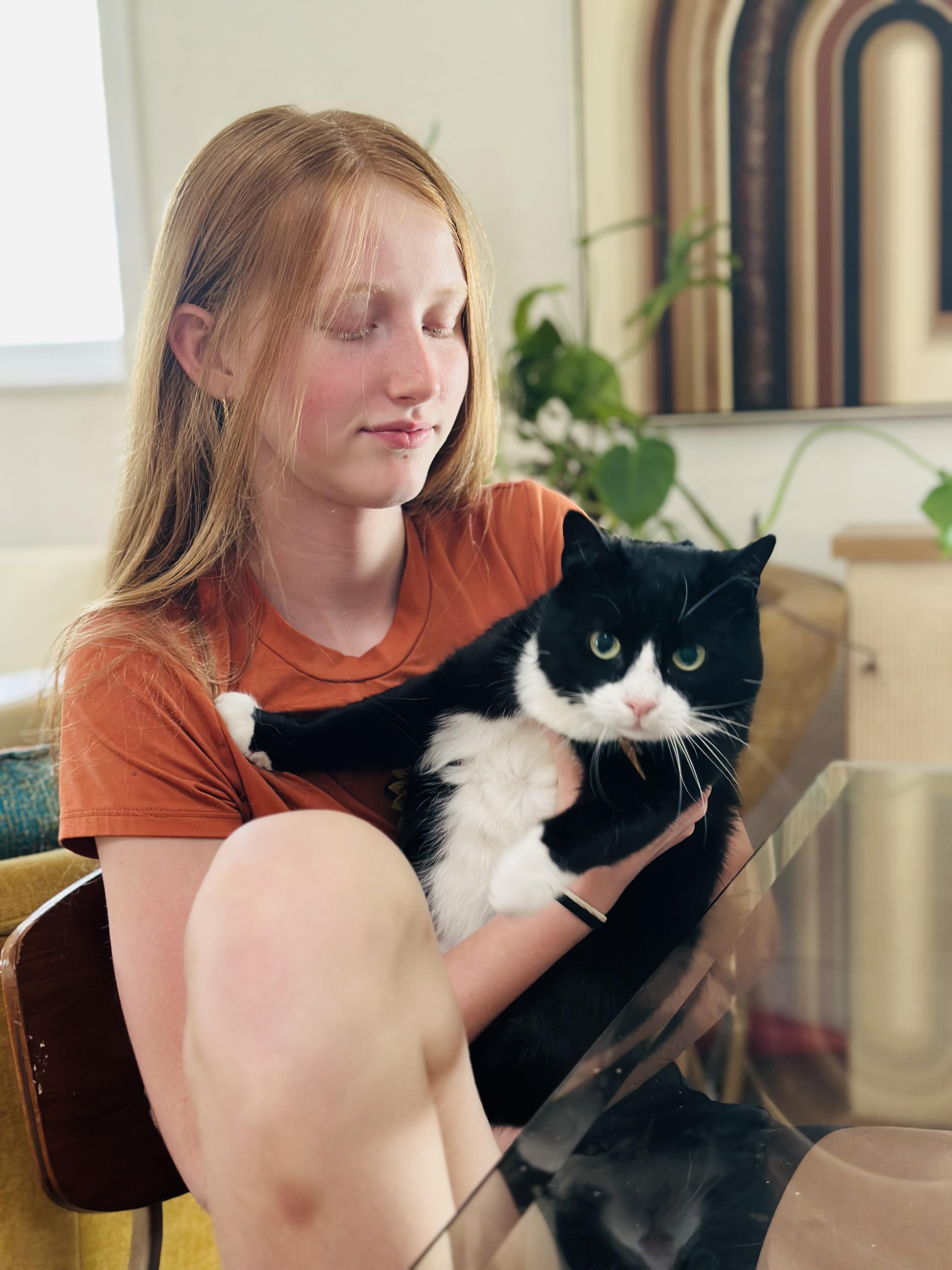 Enlarge Theresa Cookie (WATCH video!) *love bug , a ADOPTABLE Domestic Short Hair in Port Orange, FL image 3/6