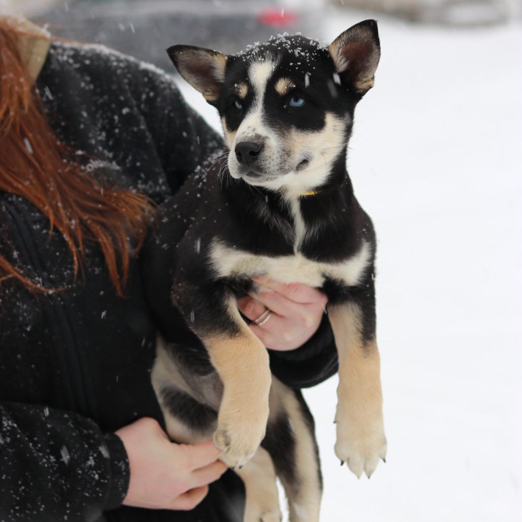 Ct Sitka thumbnail 2