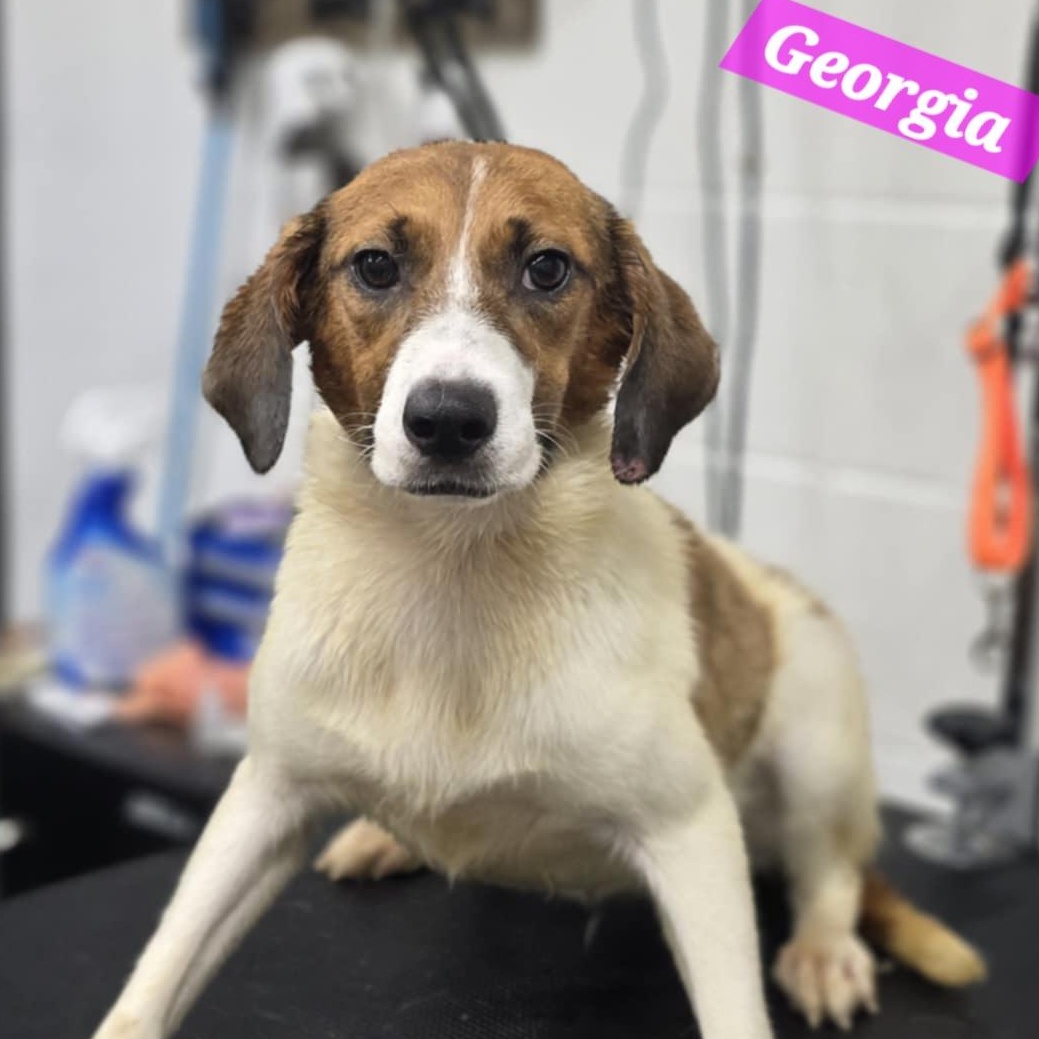 Georgia