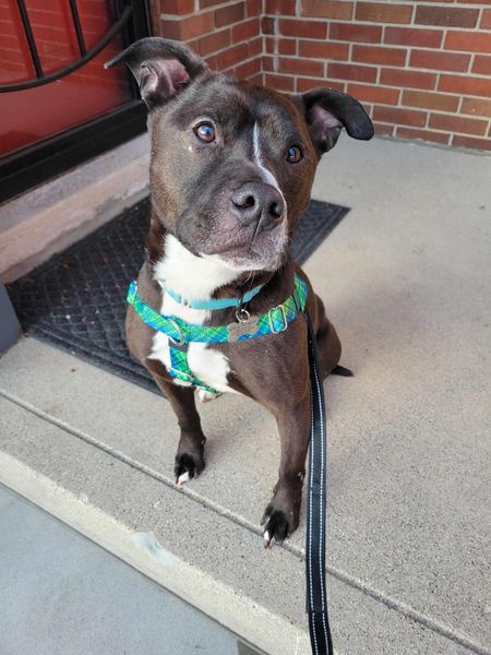 Grant Tux A161971 2