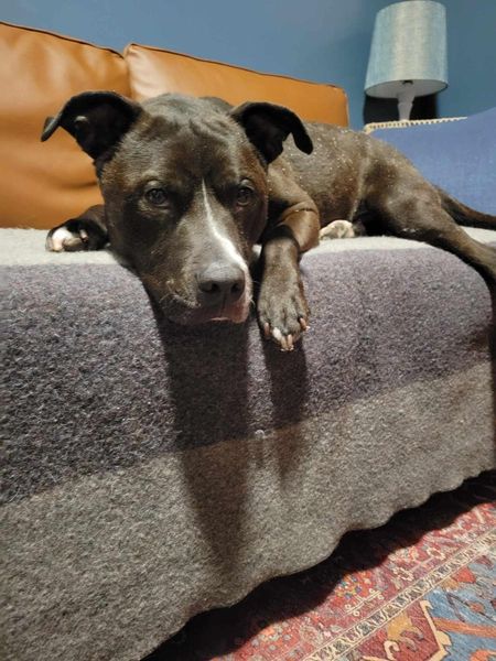 Grant Tux A161971 4