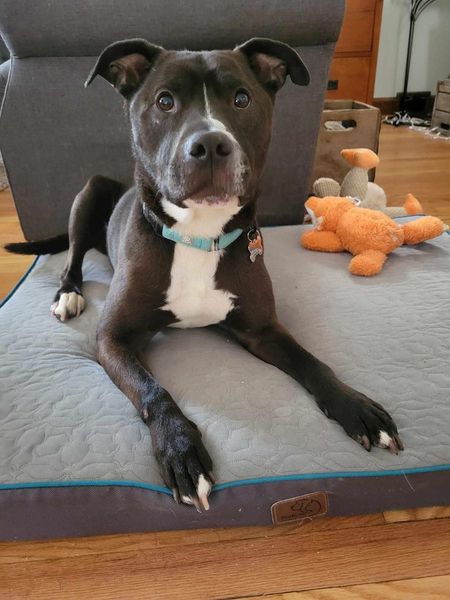 Grant Tux A161971 1