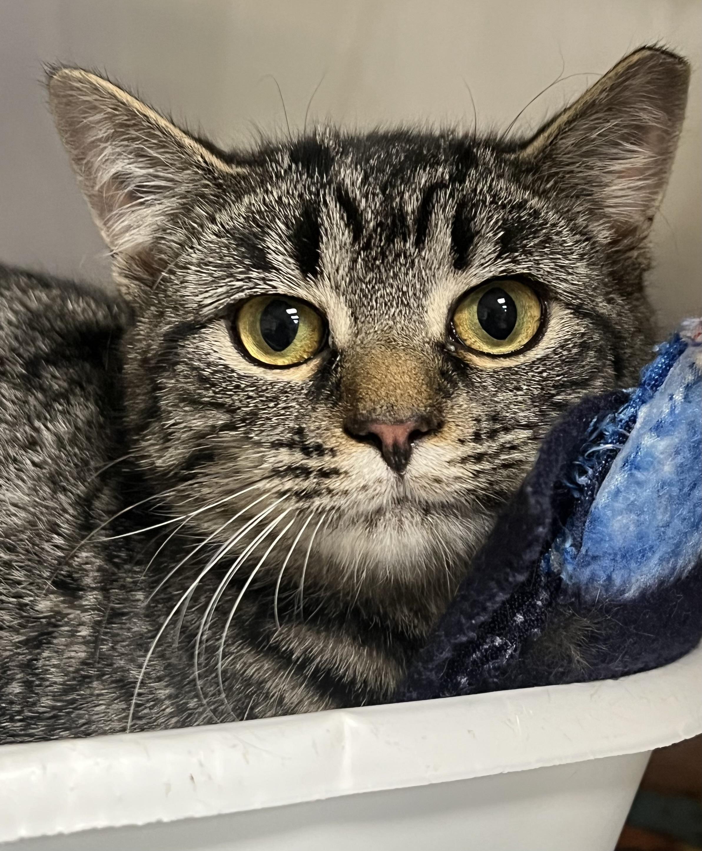 Marlayna thumbnail 4