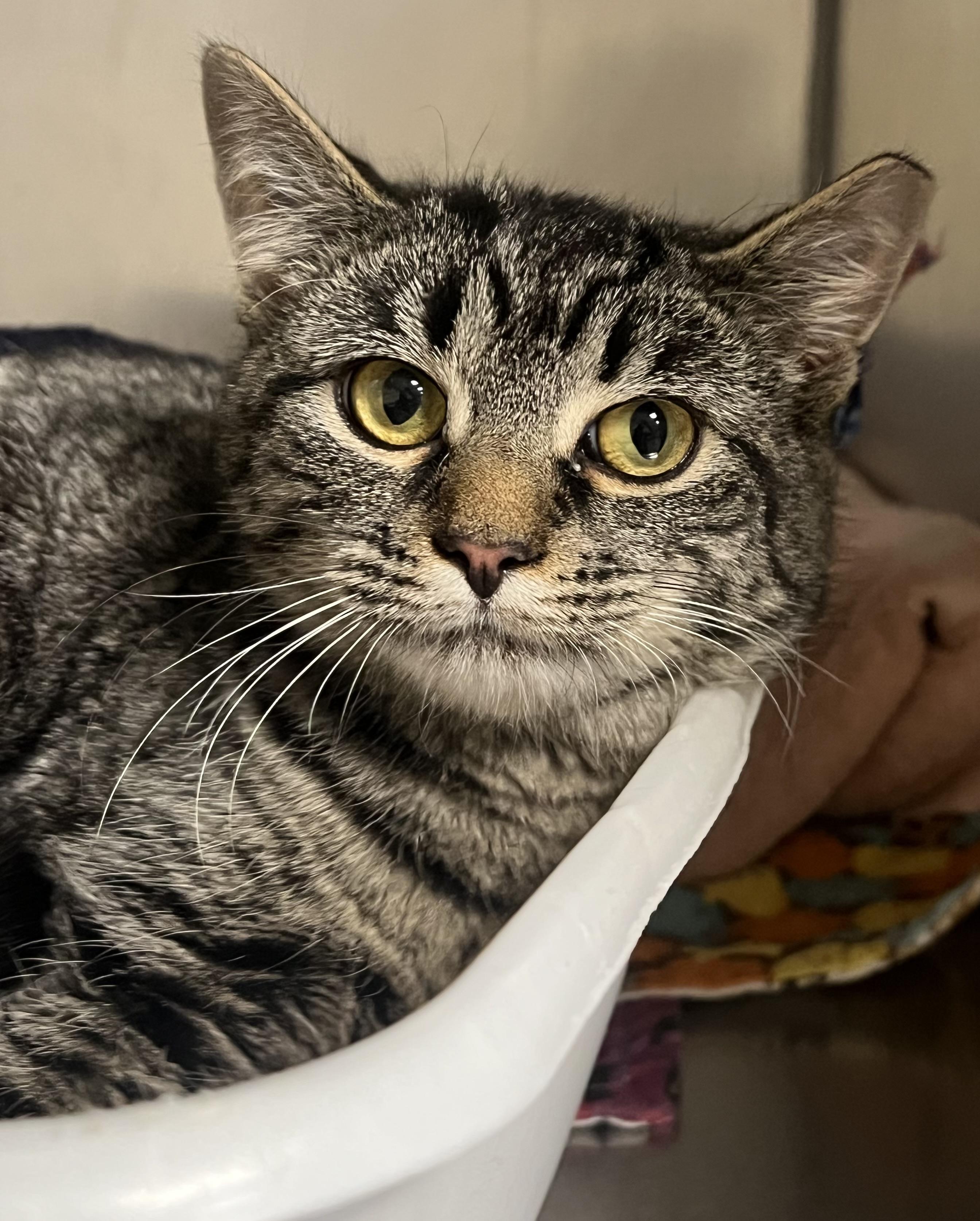 Marlayna thumbnail 5