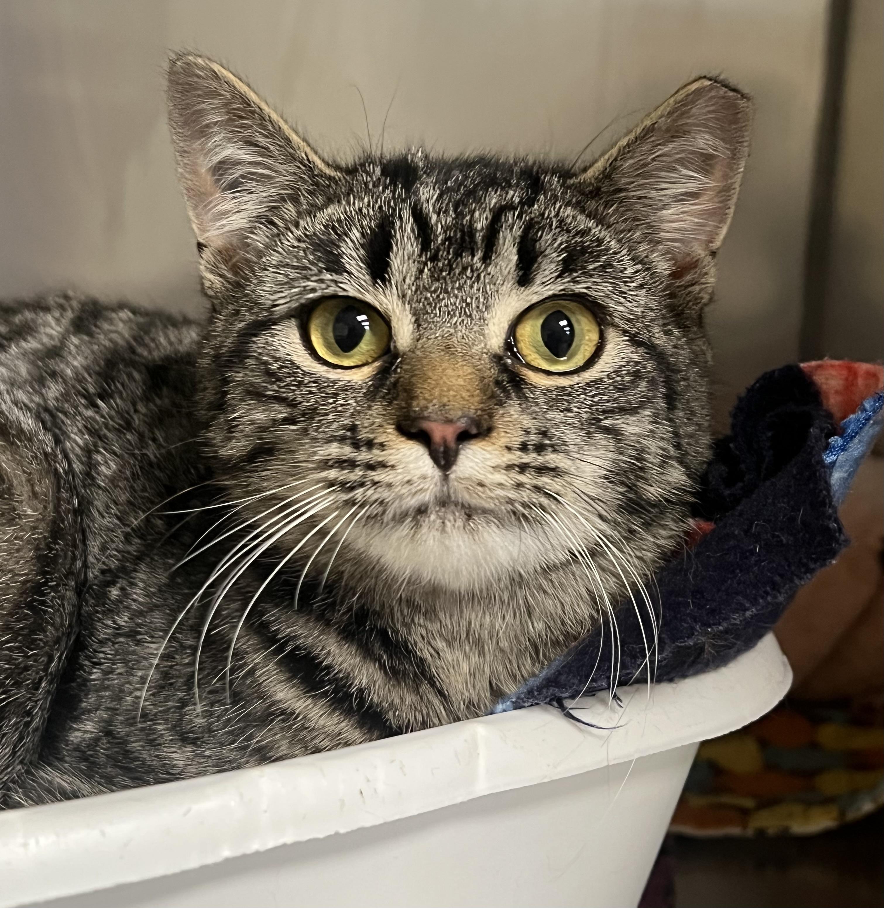 Marlayna thumbnail 7