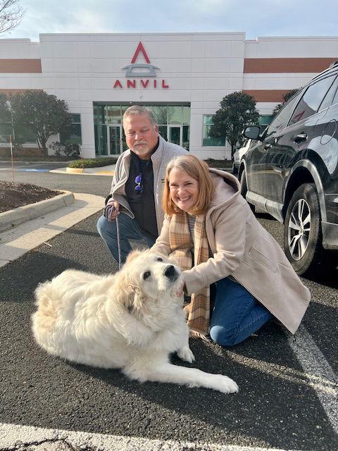 Enlarge Bunny, a Adoptable Great Pyrenees in Chambersburg, PA image 1/3