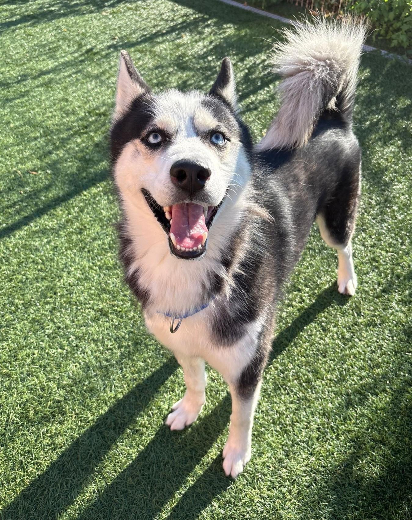 Marco