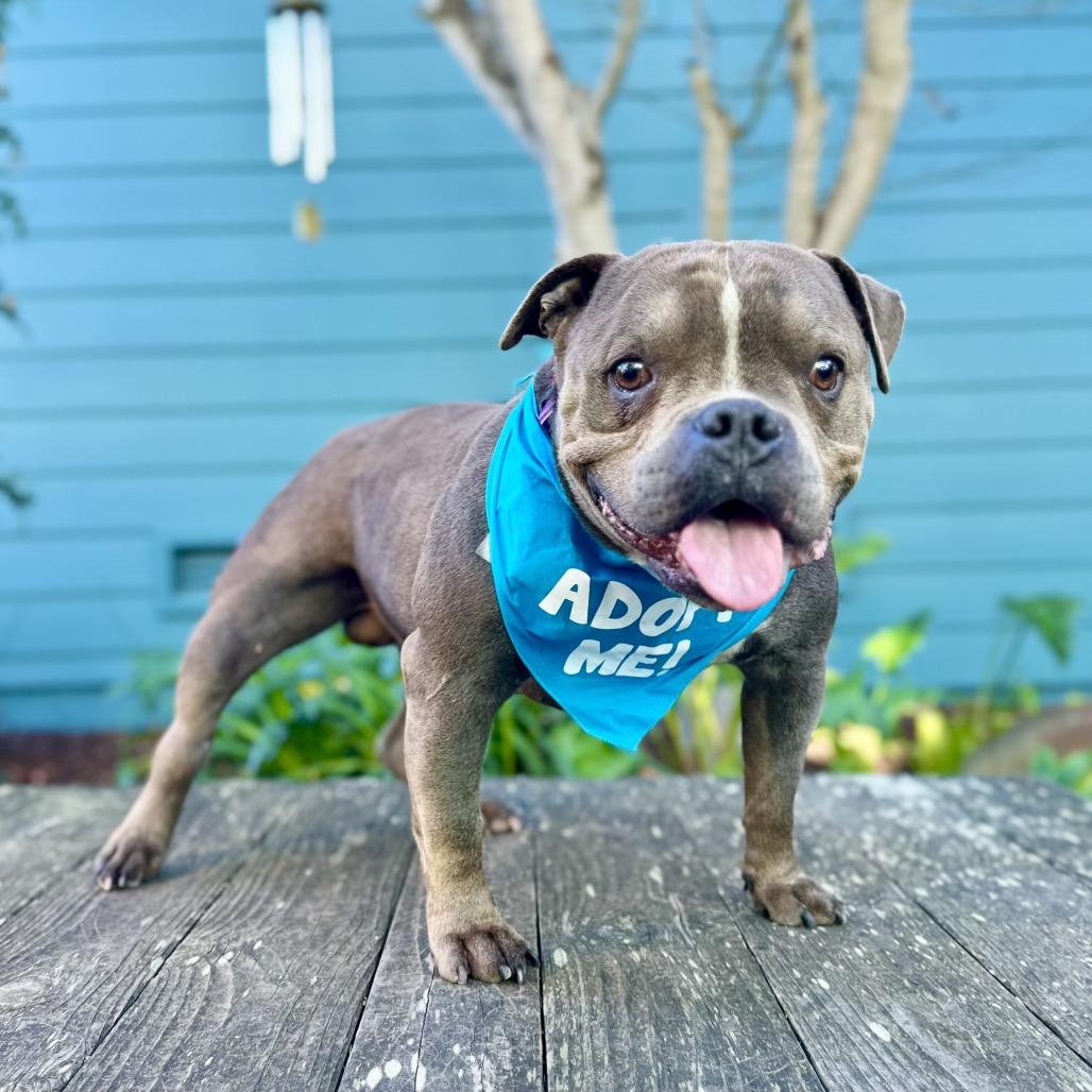 Hubba Bubba — thumbnail 2