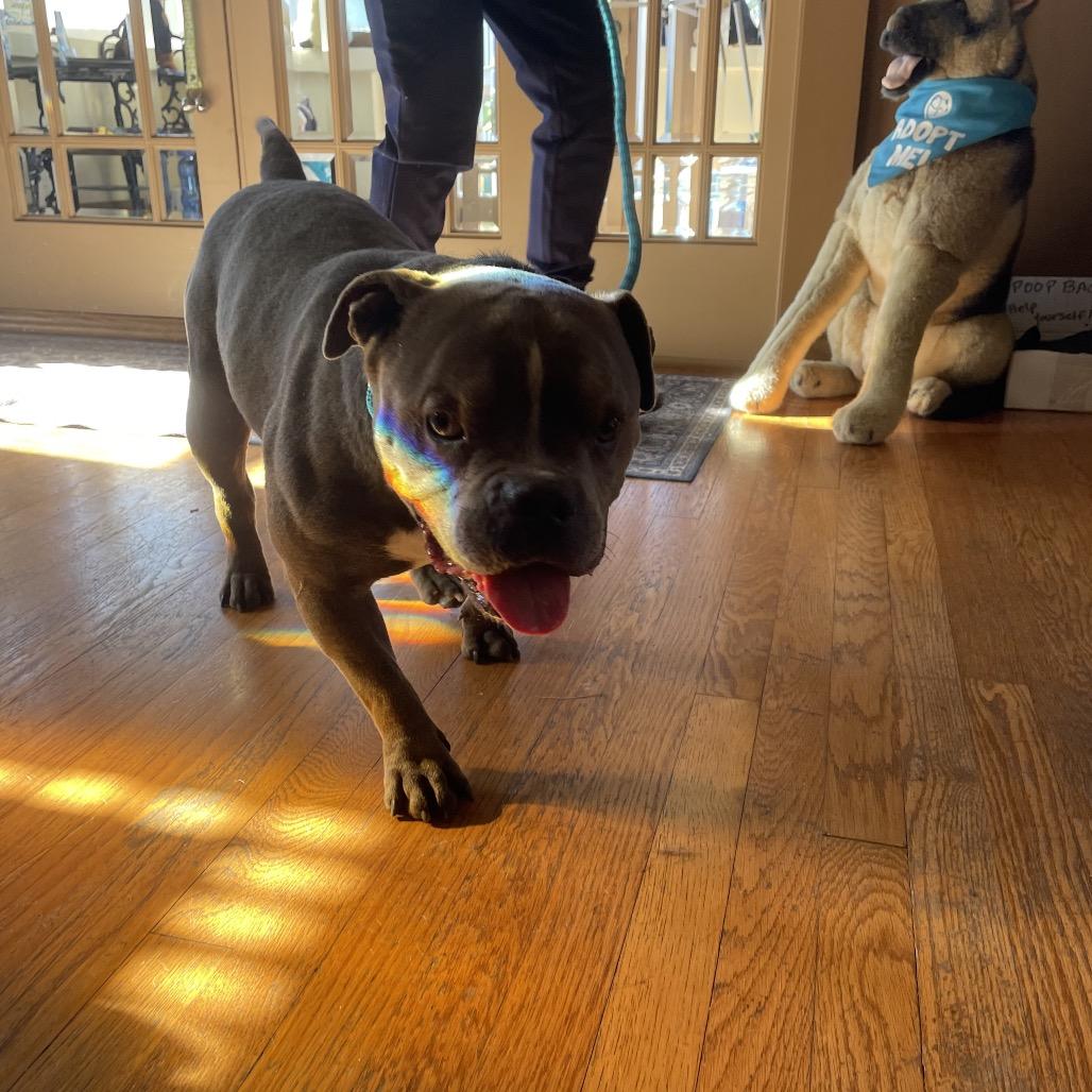 Hubba Bubba — thumbnail 3