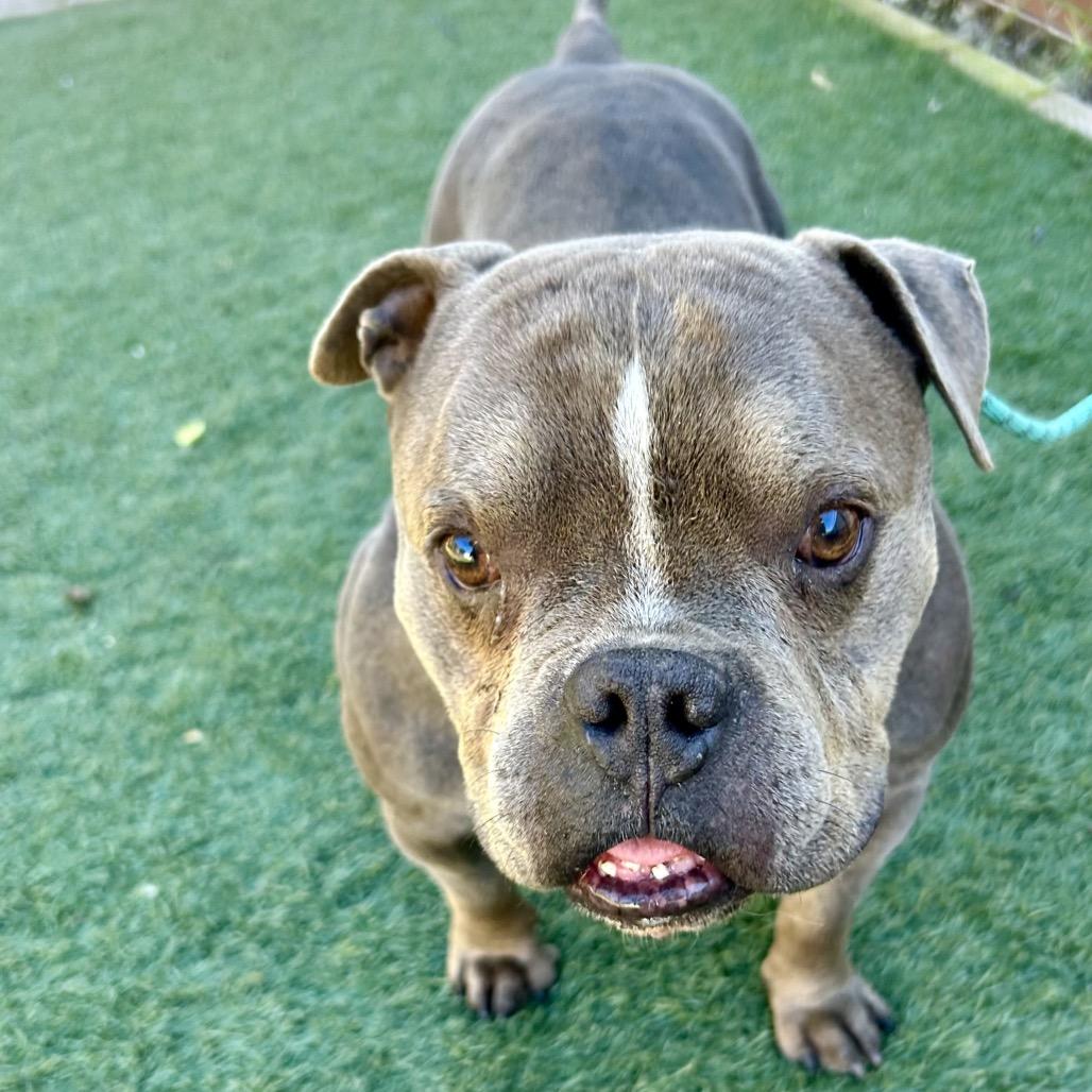 Hubba Bubba — thumbnail 4