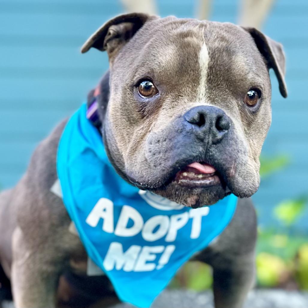 Hubba Bubba — thumbnail 5