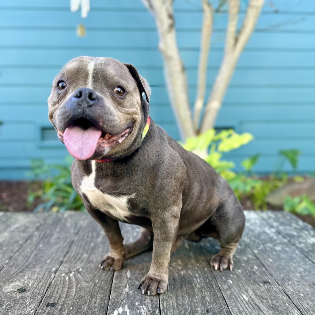 Hubba Bubba — thumbnail 6