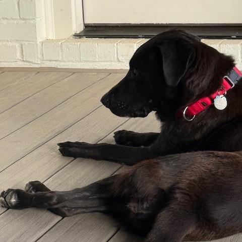 Pandora 21977 — thumbnail 2