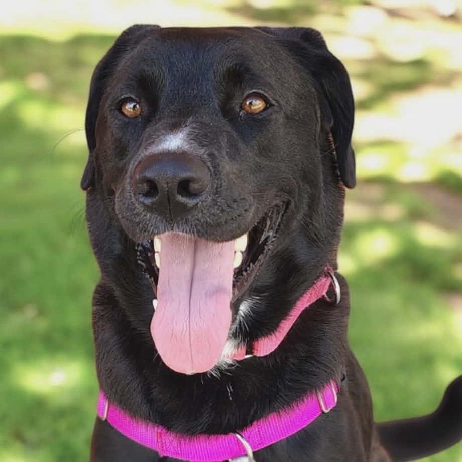 Pandora 21977 — thumbnail 5