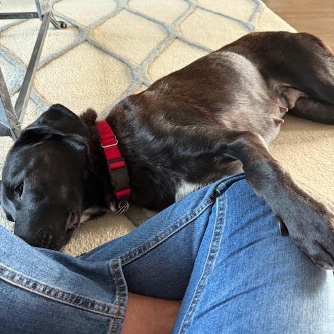 Pandora 21977 — thumbnail 6