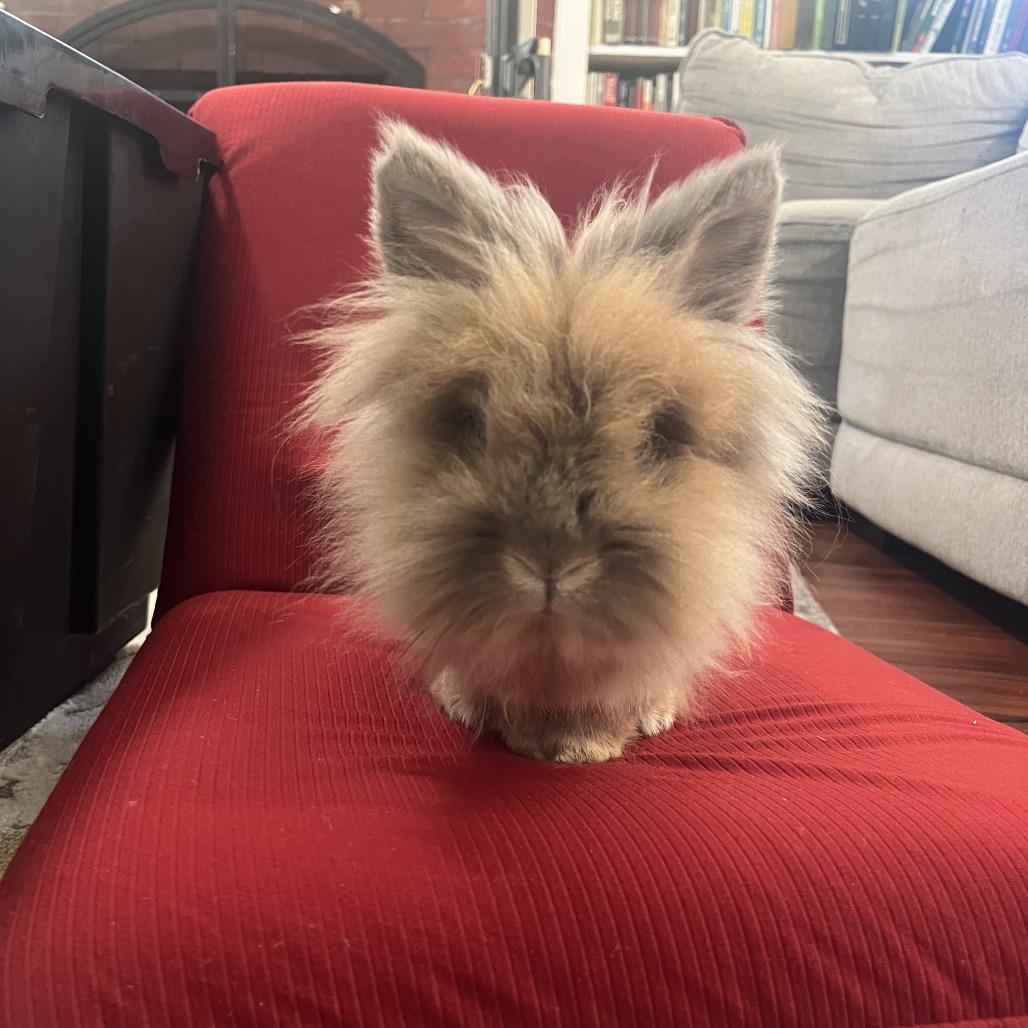 Lionel photo