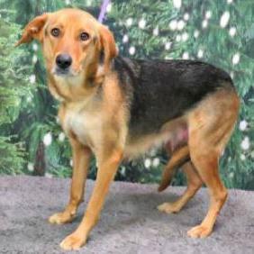 Lucy — thumbnail 2