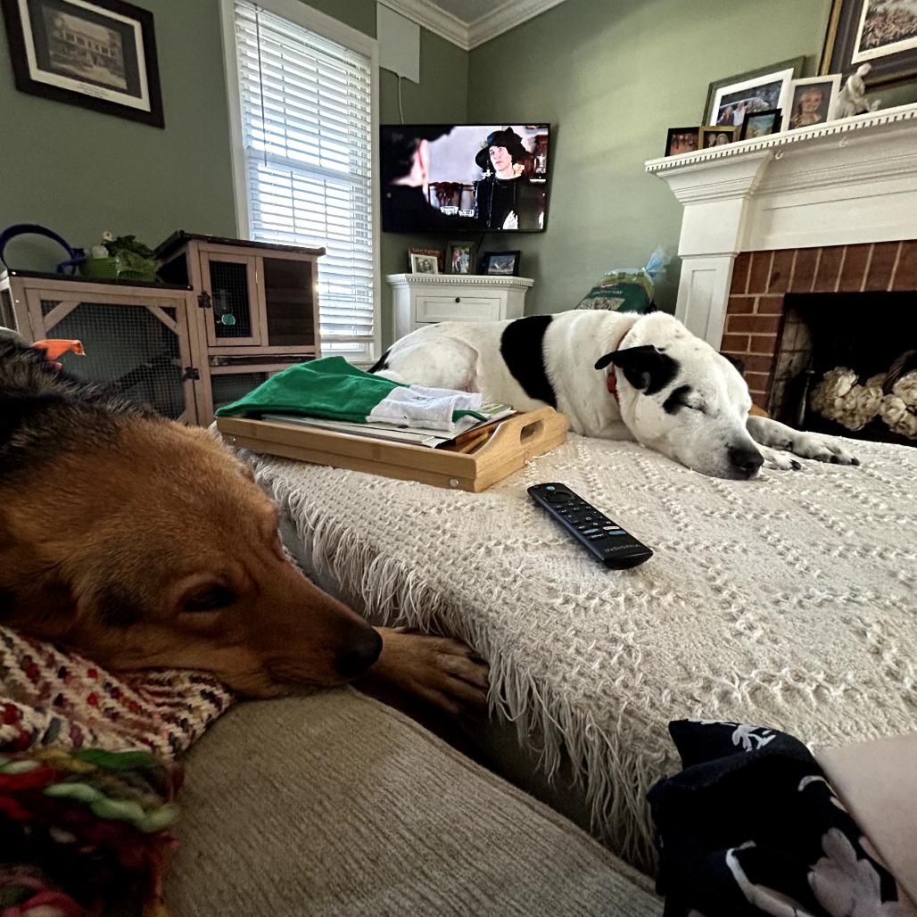 Lucy — thumbnail 3