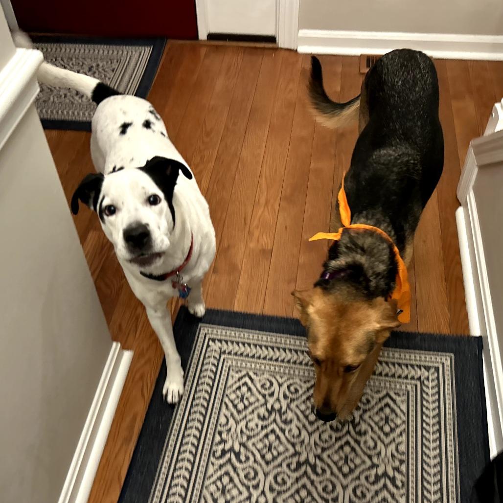 Lucy — thumbnail 4