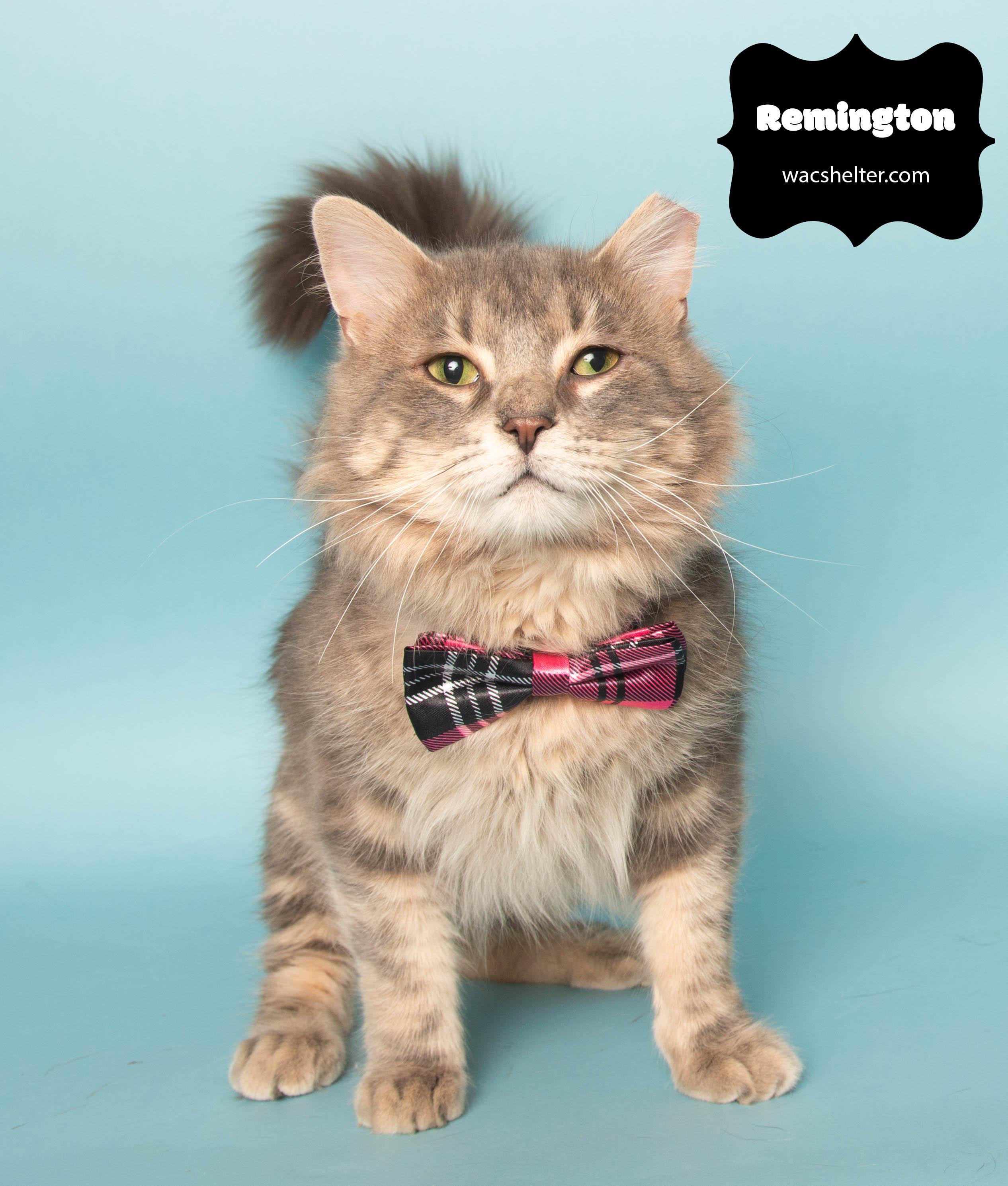 REMINGTON (Photos Coming Soon)