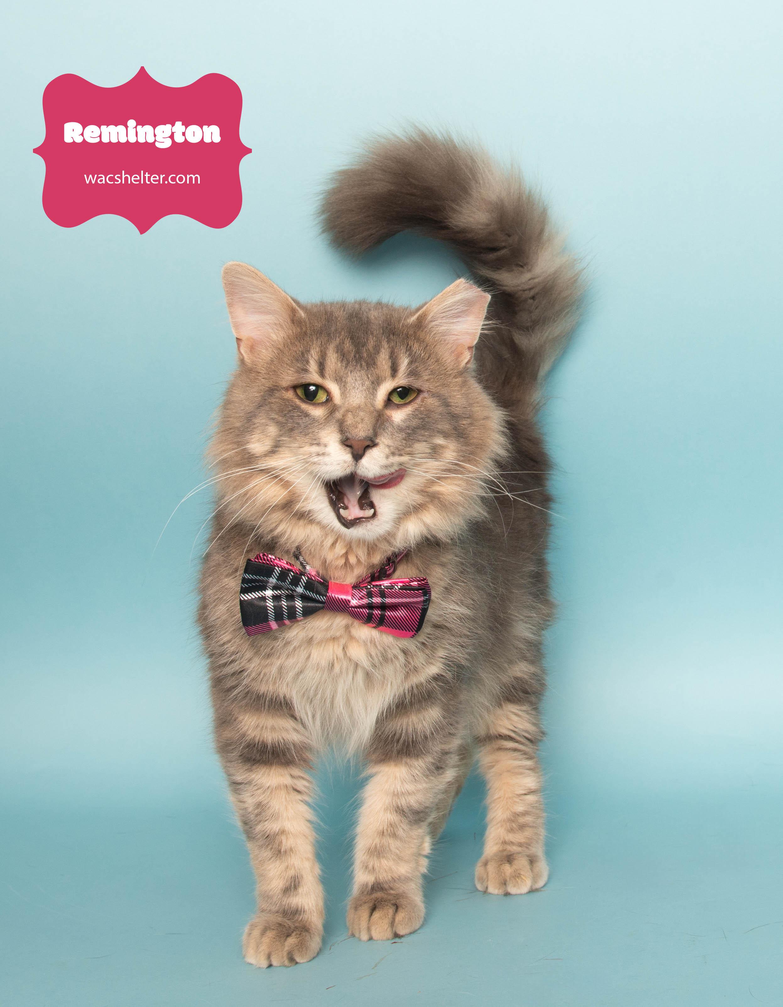 REMINGTON (Photos Coming Soon)