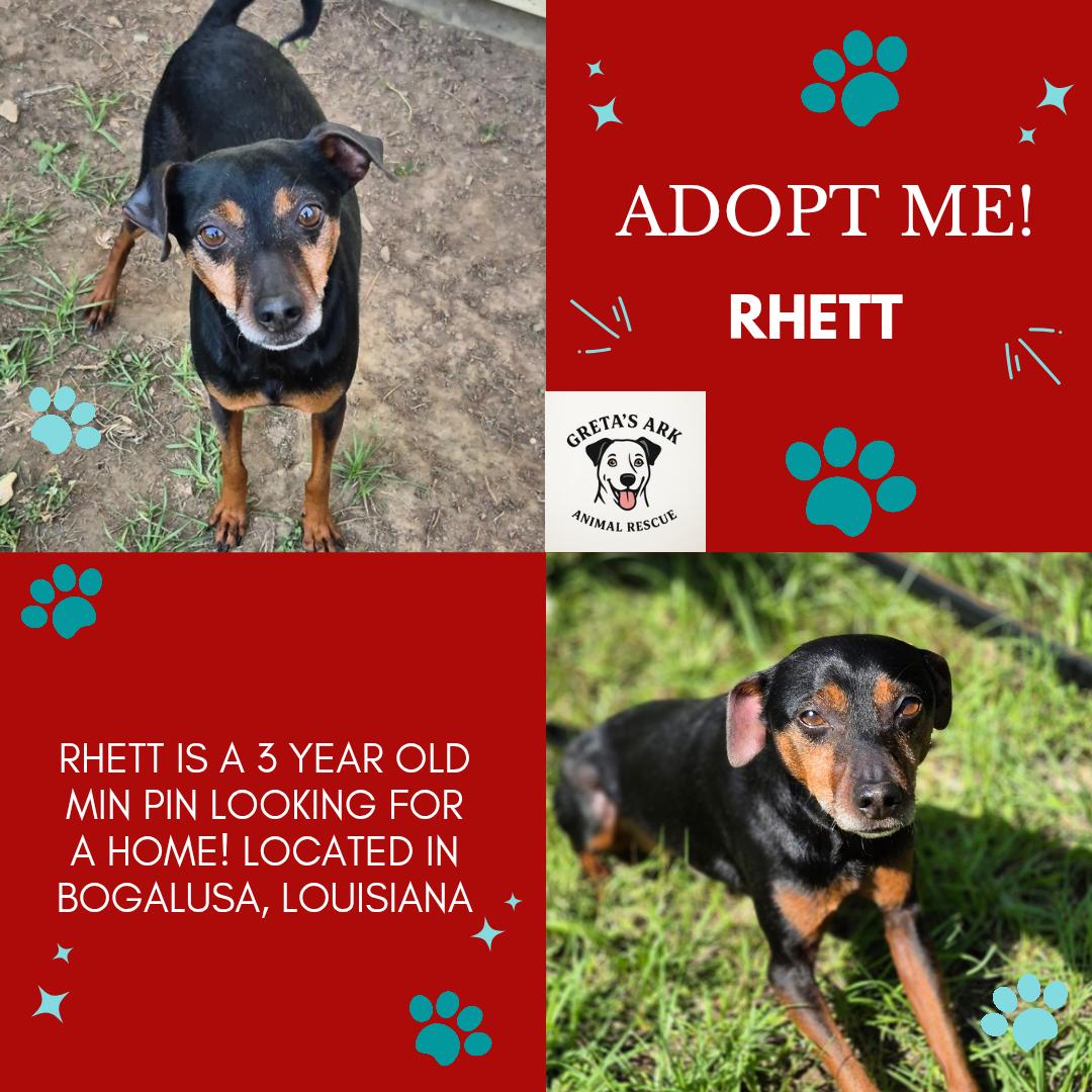 Rhett ***Longest Resident***