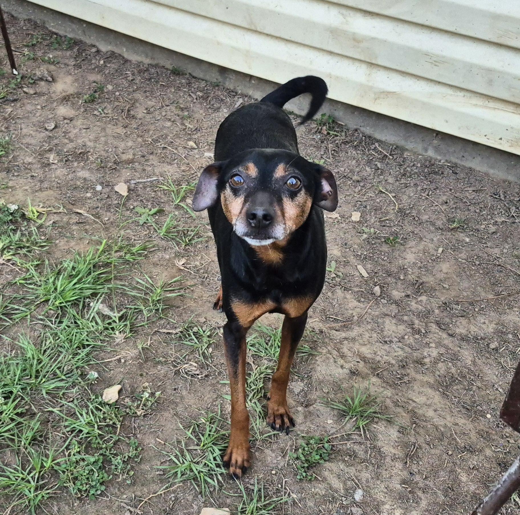Rhett ***Longest Resident***