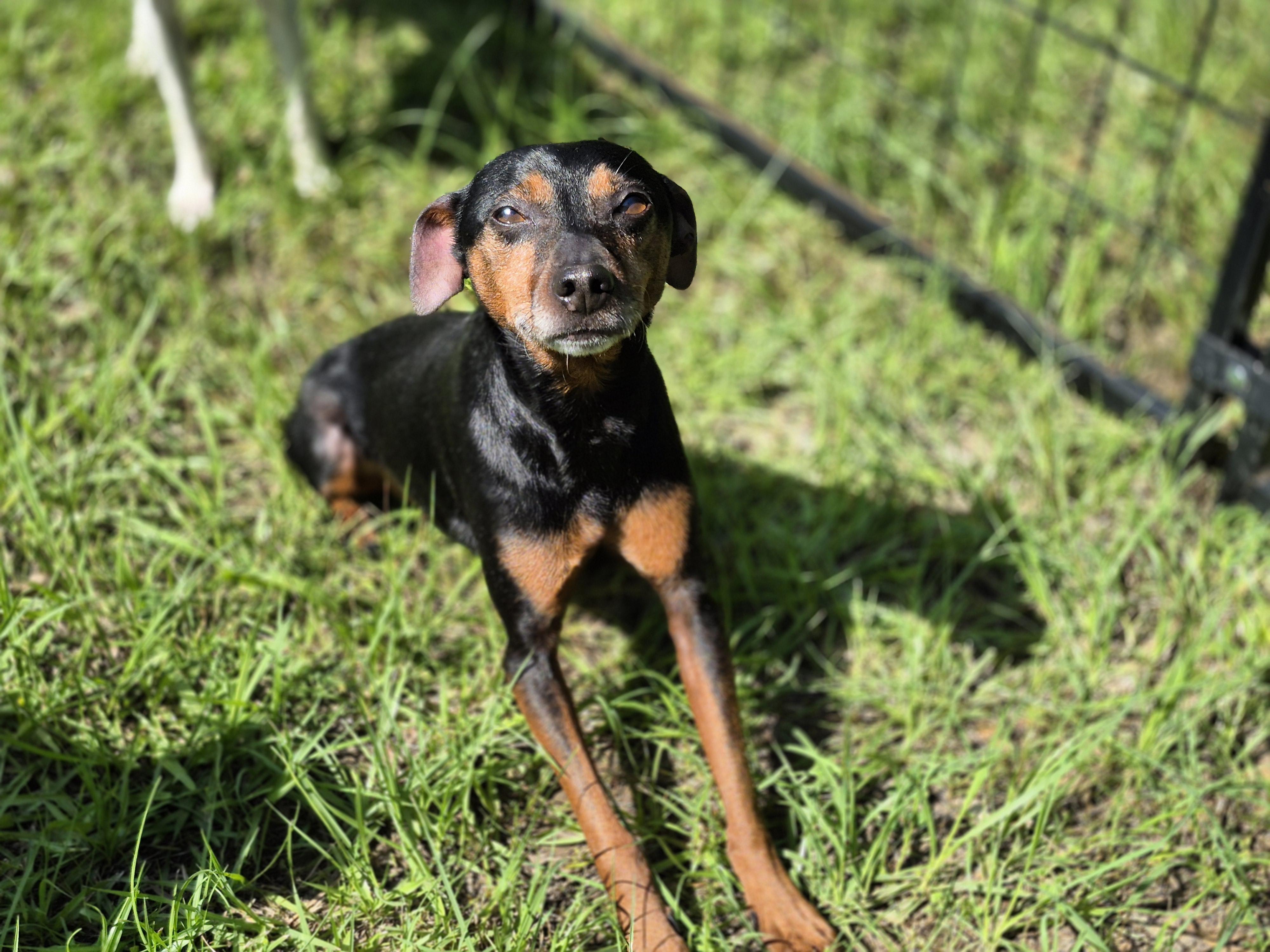 Rhett ***Longest Resident***
