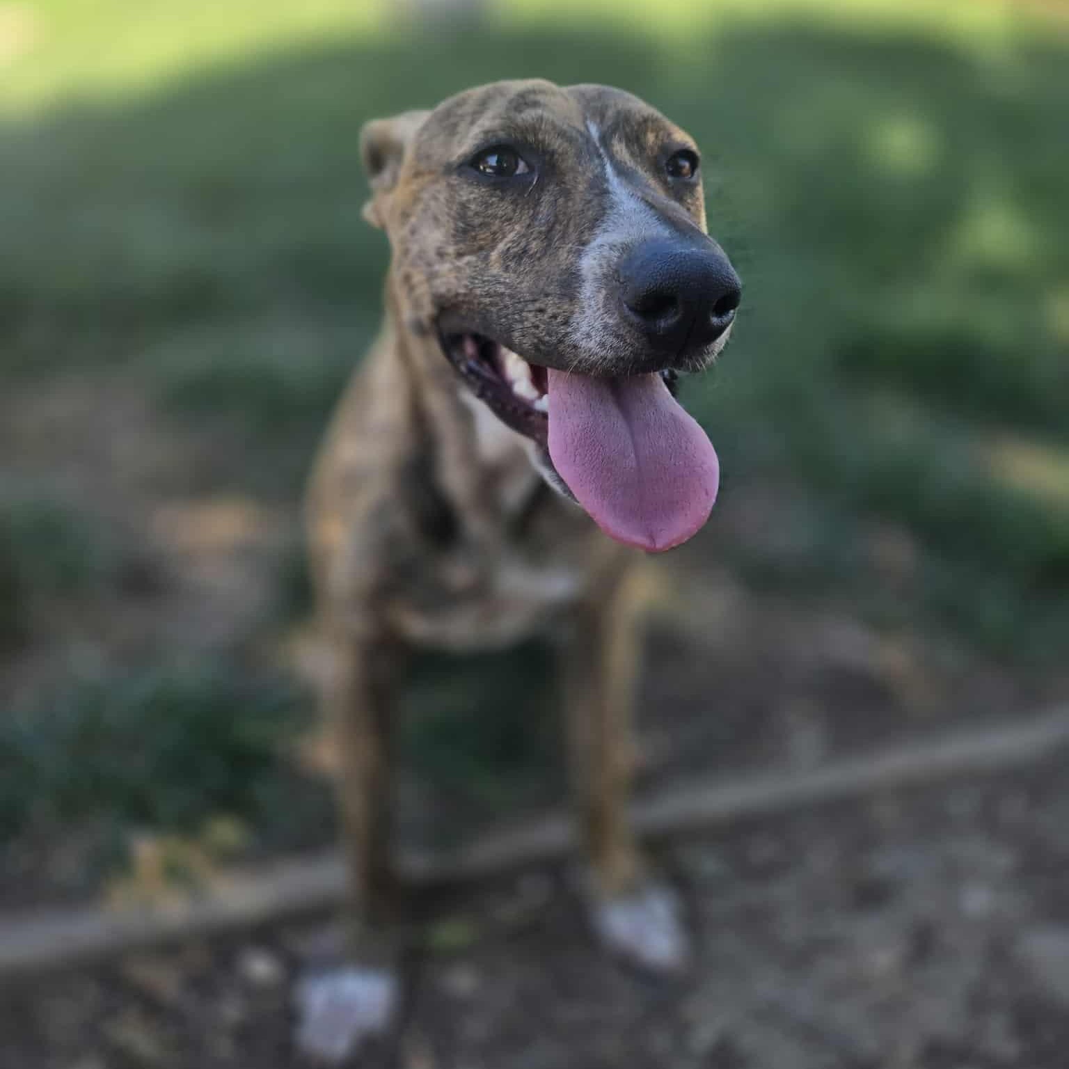 Radar *PARTIALLY BLIND* Abuse case