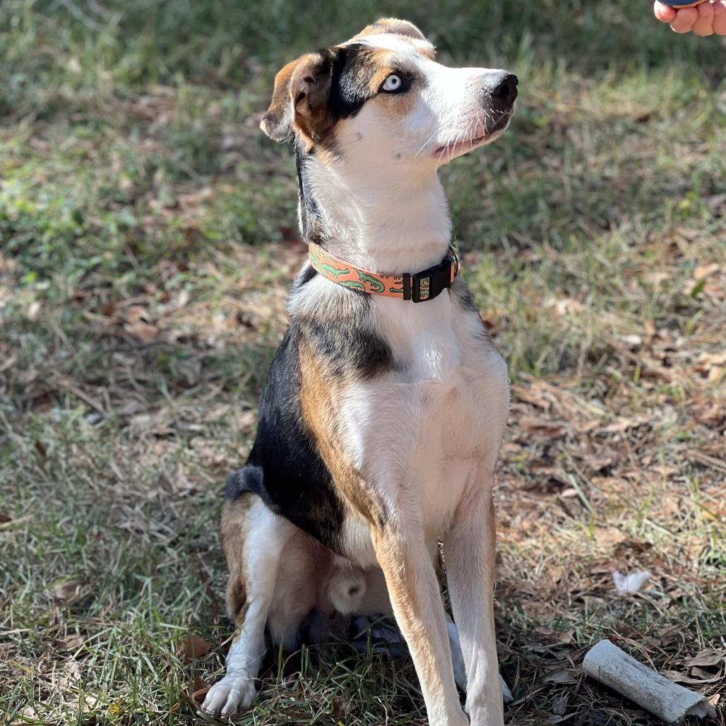 Benny — thumbnail 3