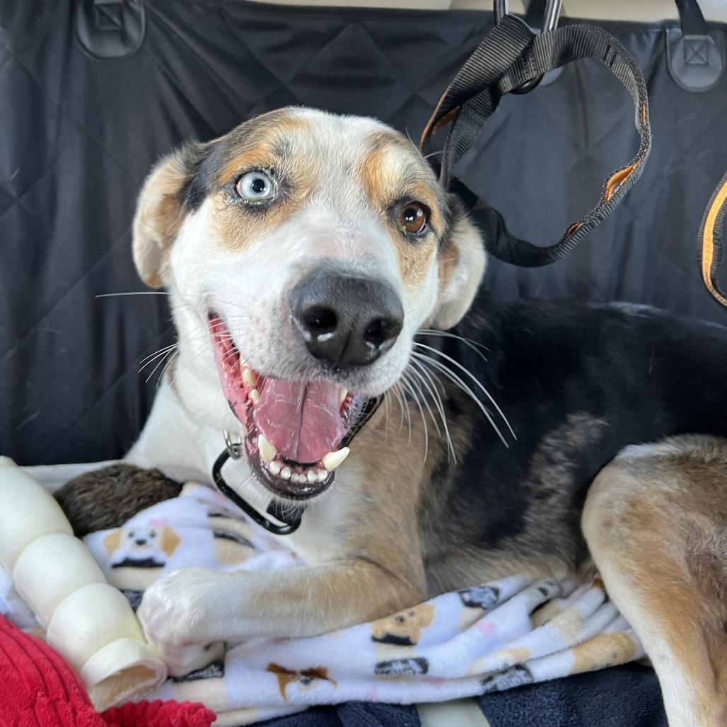 Benny — thumbnail 4