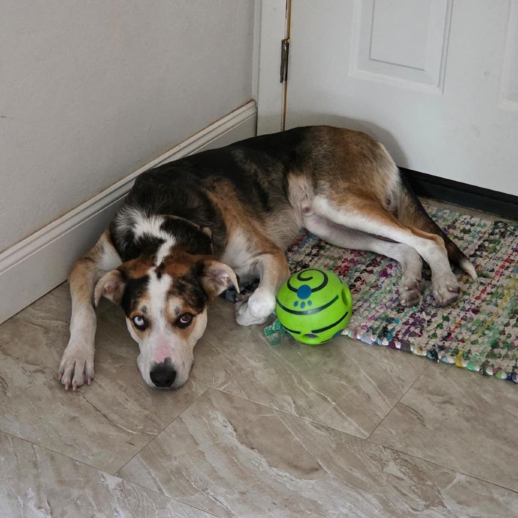 Benny — thumbnail 6