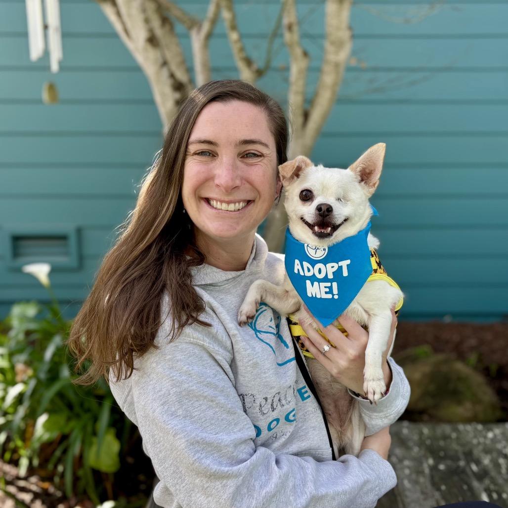 Whimsy — thumbnail 2