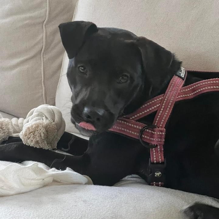 Charlie