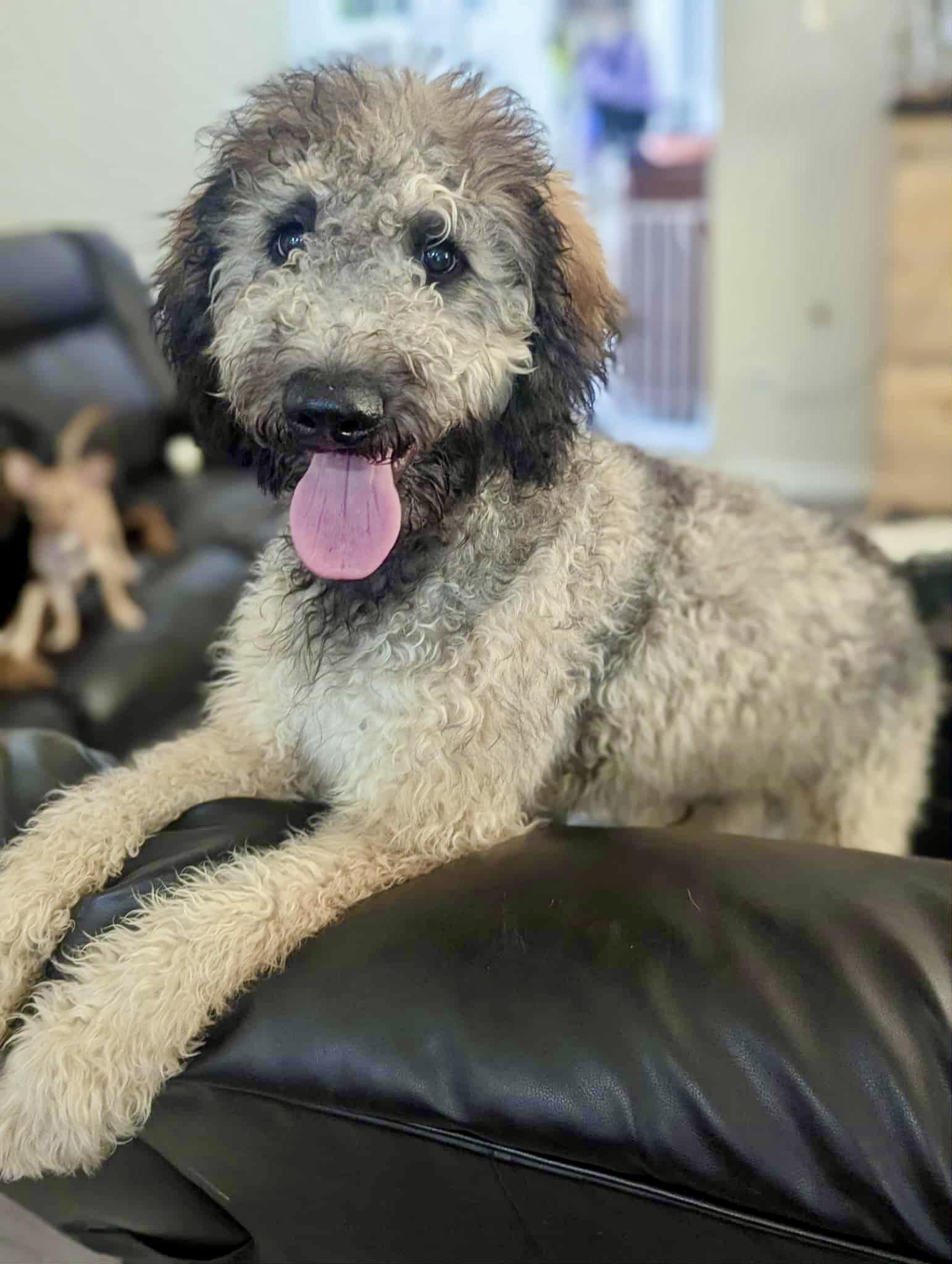 Owen