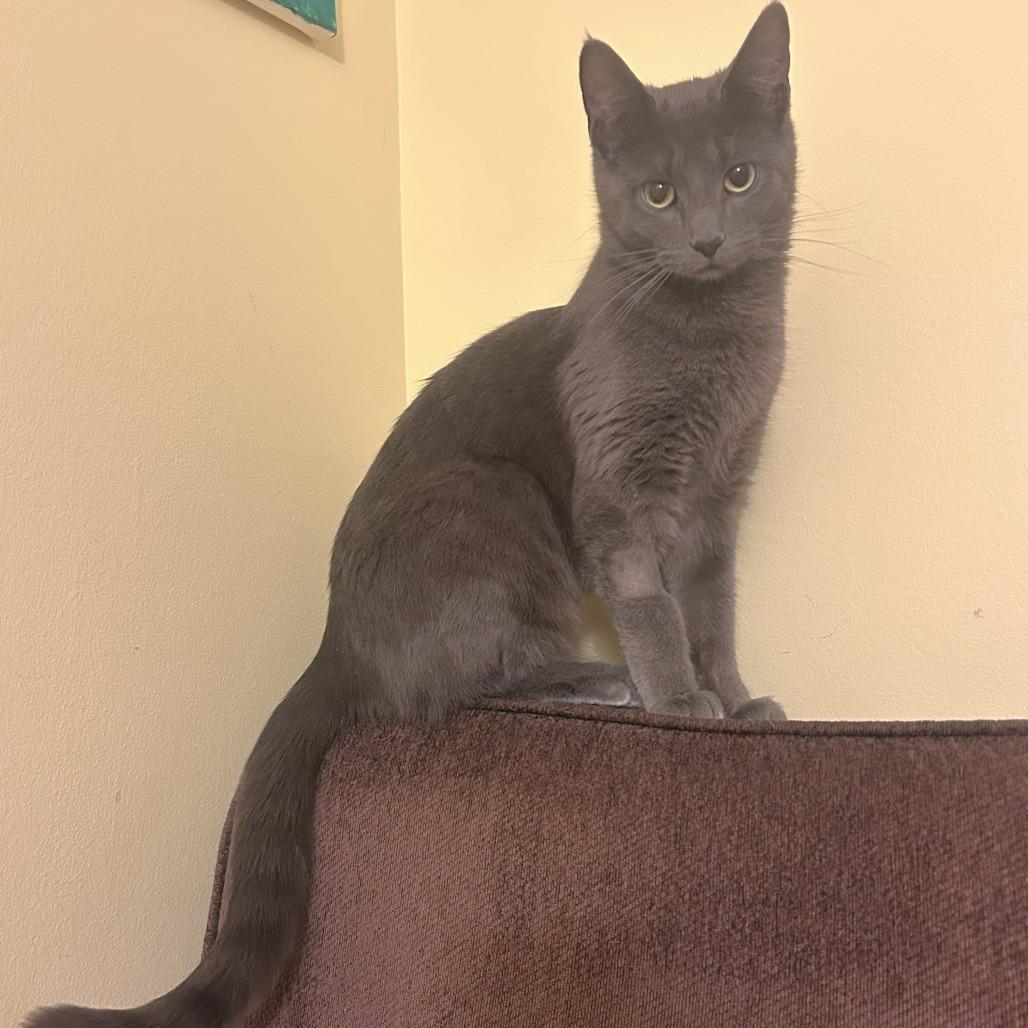 Kiki — thumbnail 2