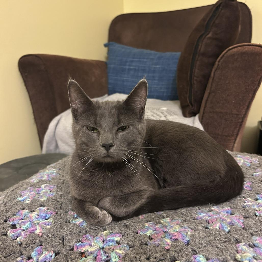 Kiki — thumbnail 3