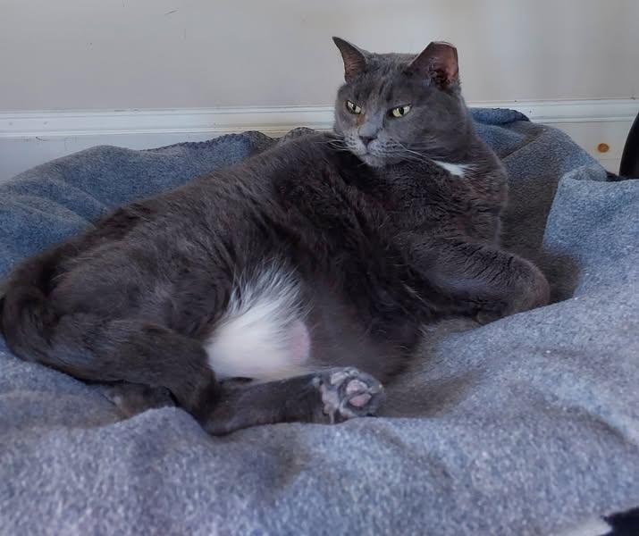 Big Mama photo 4