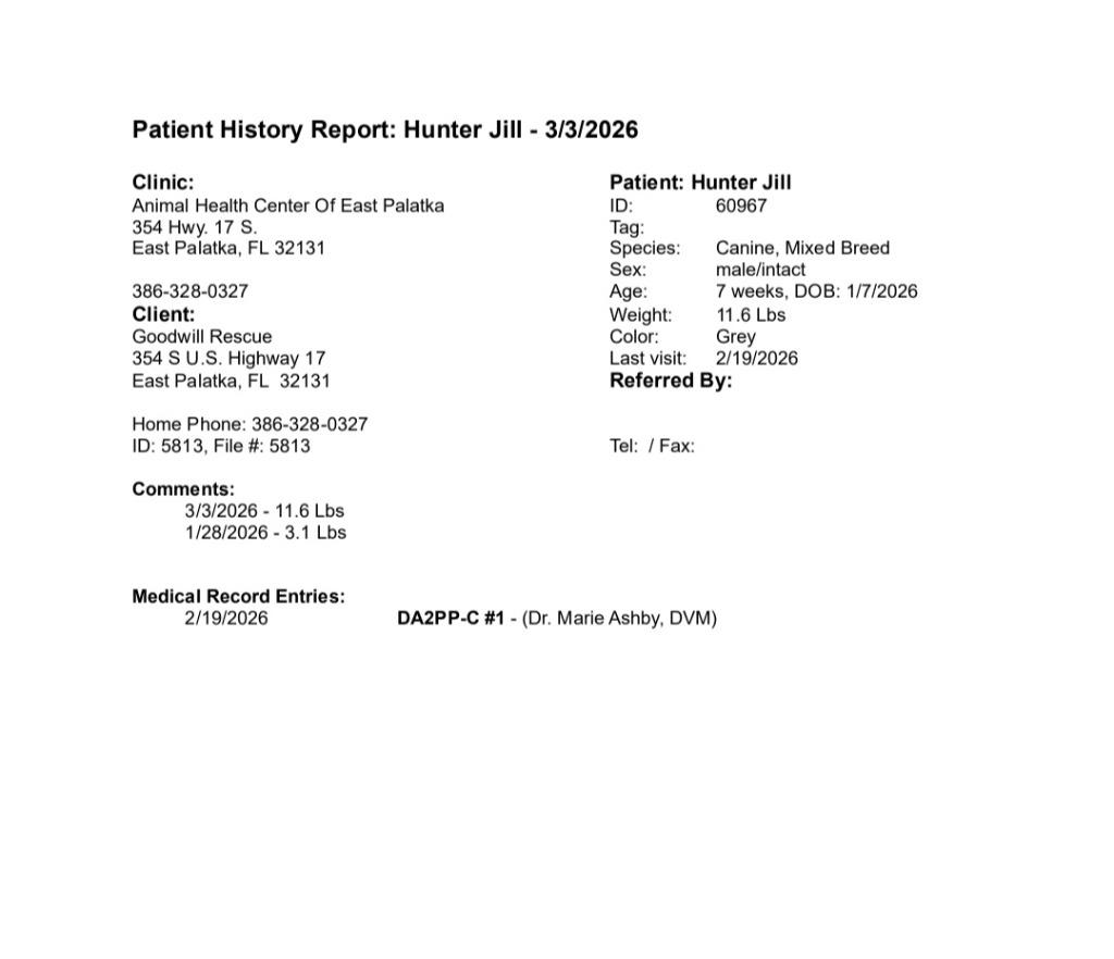 Hunter — thumbnail 2