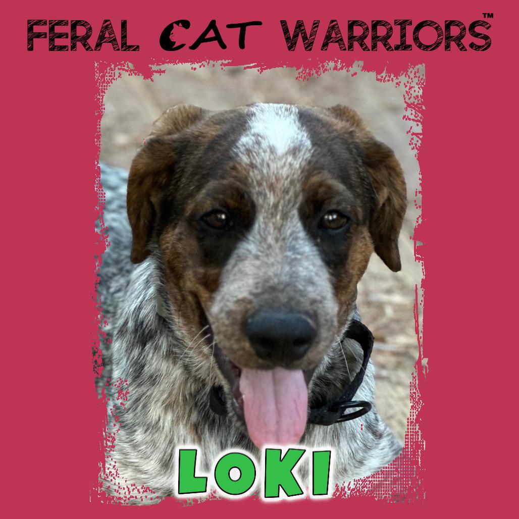 Loki thumbnail 2