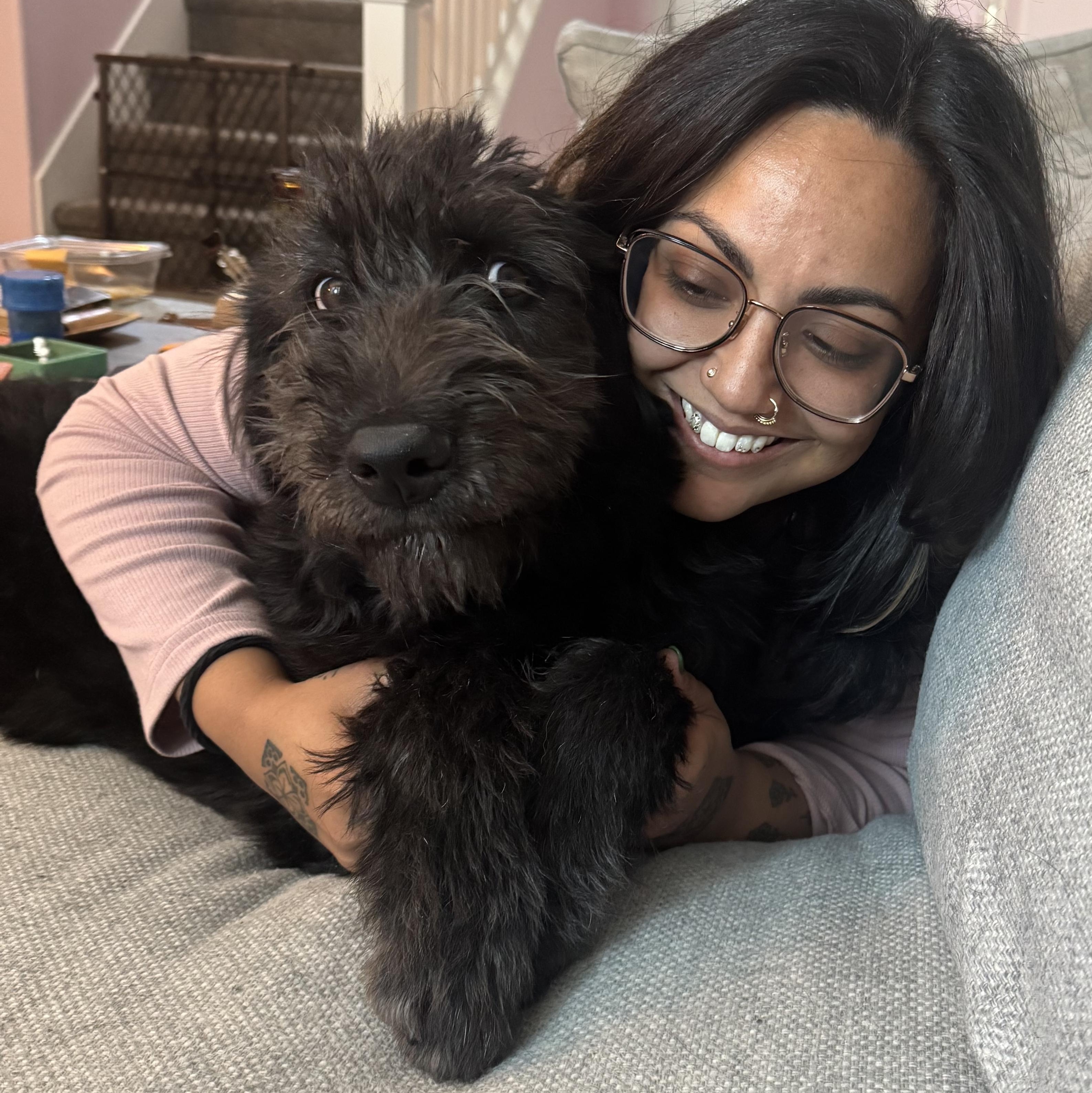 Enlarge Piker, a Adoptable Giant Schnauzer in Oakland, CA image 6/6